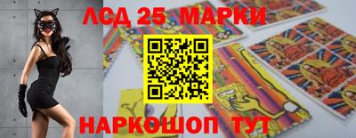 амф Новодвинск