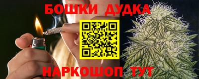 амф Новодвинск