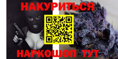 амф Новодвинск