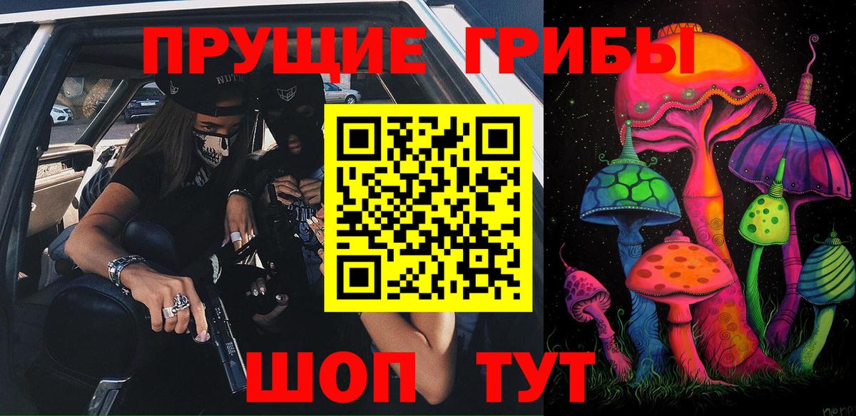 Псилоцибиновые грибы Psilocybine cubensis Самара