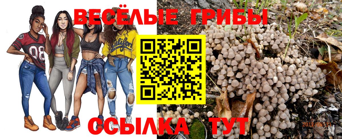купить наркотик  Псилоцибиновые грибы Magic Shrooms  Вход с VPN  Самара  Псилоцибиновые грибы Magic Shrooms 